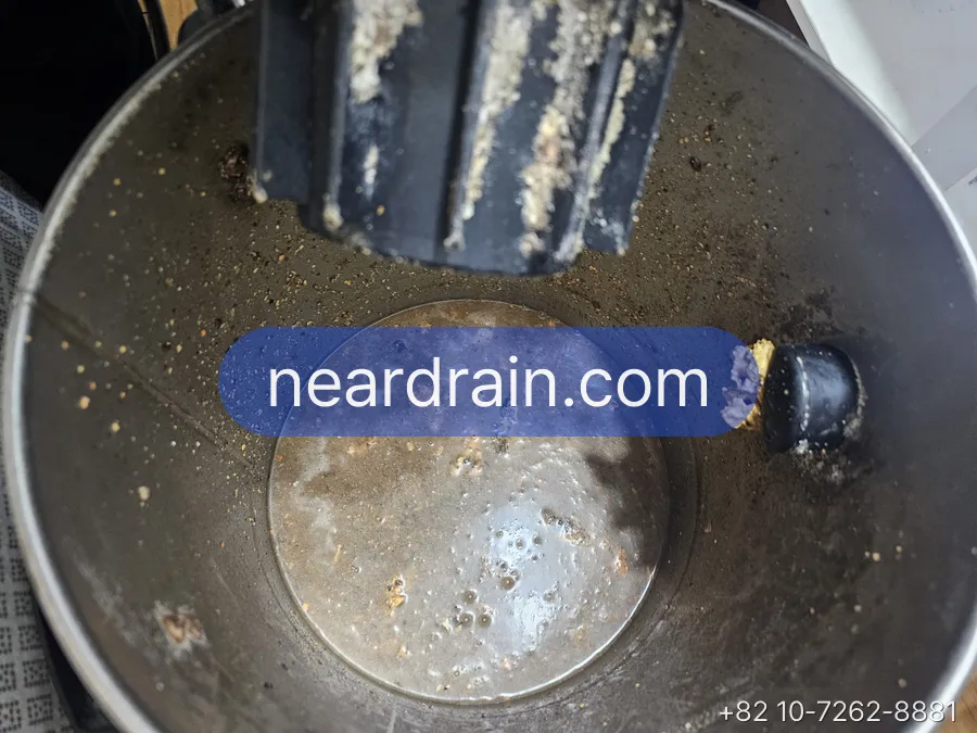 Grease scraped out of a kitchen drain line