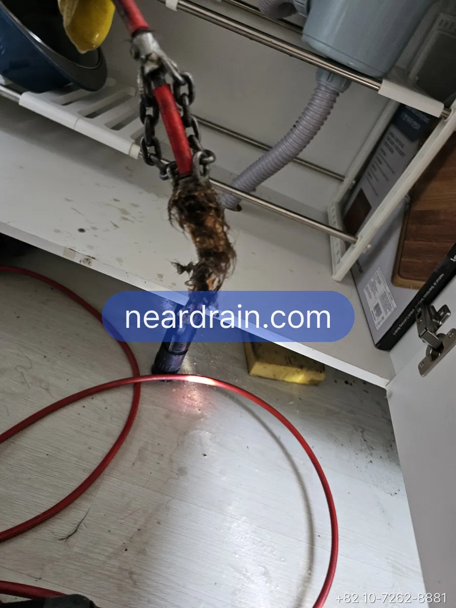 Hair and sludge pulled from a studio bathroom drain