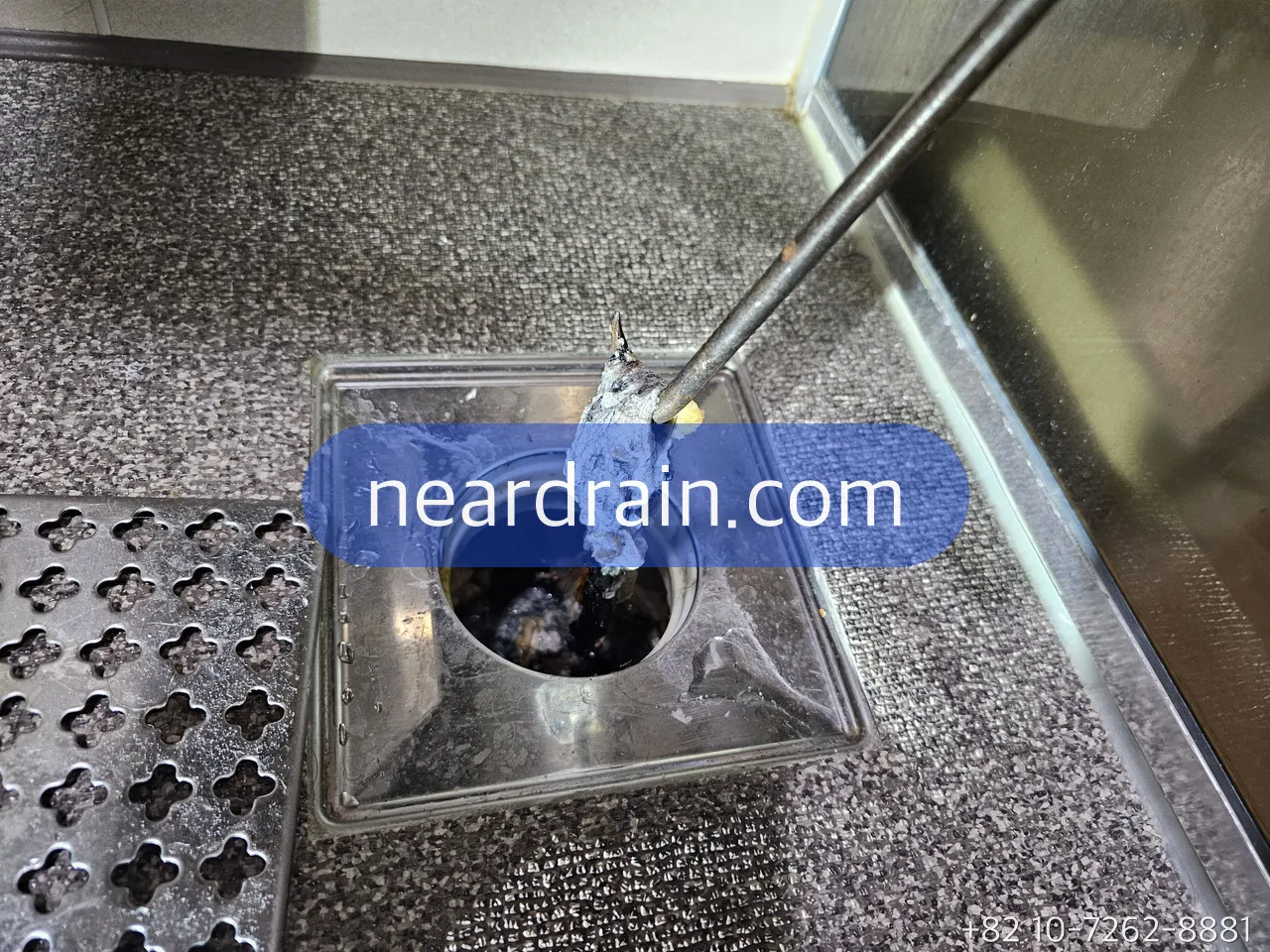 Kitchen floor drain opened, grease lump being lifted out with a tool