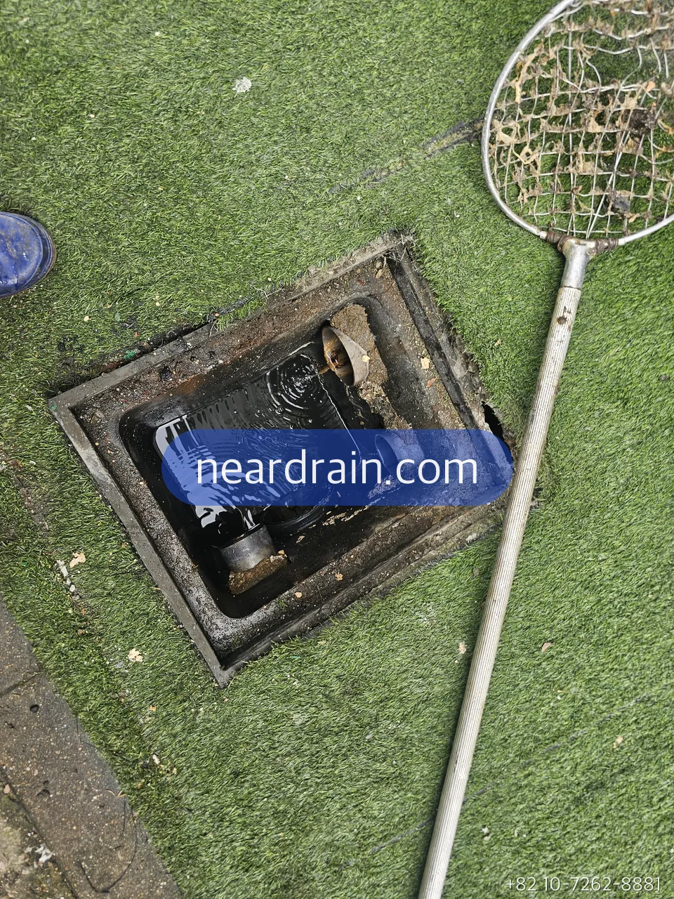Square yard drain in artificial turf with a leaf net beside it, grate removed