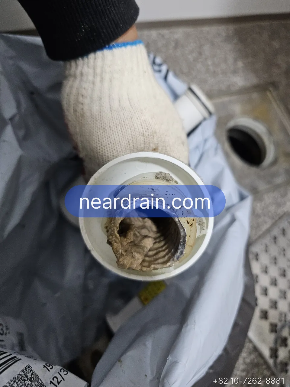 Grease inside a kitchen sink trap